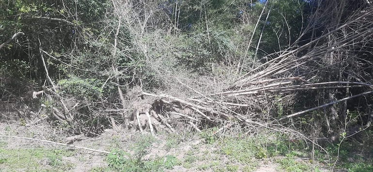 Imputan a exintendente de Coronel Martínez y a su hermano por presunto daño ambiental.