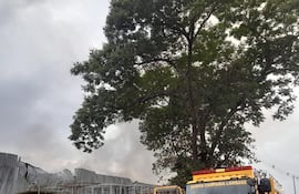 El depósito de alimentos para mascotas fue consumido por completo, en un complejo industrial de Limpio.