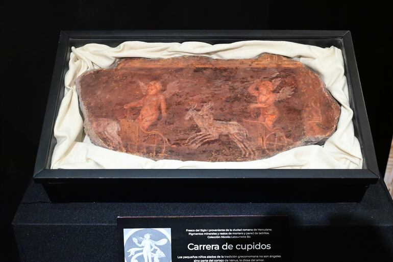 Carrera de cupidos en el fragmento de un fresco del siglo I, proveniente de la ciudad de Herculano. Eran parte de un cortejo a Venus, la diosa del amor.