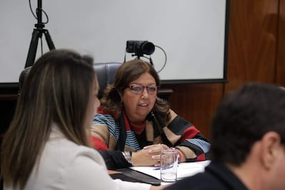 Mujer de cabello castaño y gafas, vestida de oscuro con bufanda de rayas, habla en reunión en sala de conferencias.