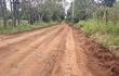 Camino de tierra en entorno rural con marcas de maquinaria, rodeado de vegetación y árboles, bajo un cielo despejado.