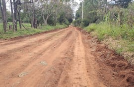 Camino de tierra en entorno rural con marcas de maquinaria, rodeado de vegetación y árboles, bajo un cielo despejado.