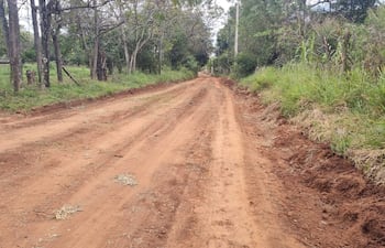 Camino de tierra en entorno rural con marcas de maquinaria, rodeado de vegetación y árboles, bajo un cielo despejado.