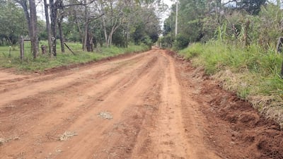 Camino de tierra en entorno rural con marcas de maquinaria, rodeado de vegetación y árboles, bajo un cielo despejado.
