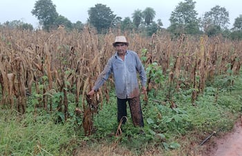 El productor Adrián Vázquez, mostrando su plantación de maíz que se perdió por la larga sequía.
