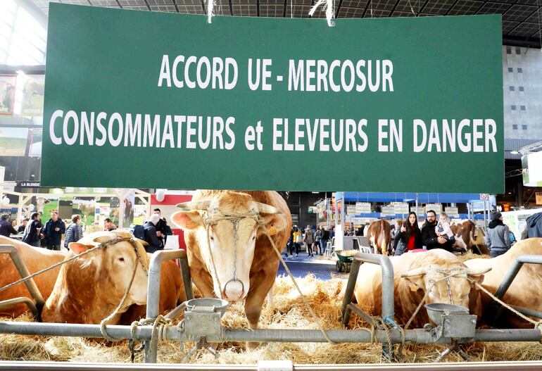 Sectores agropecuarios europeos temen la competencia del Mercosur.