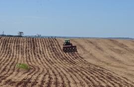 La elección de variedades correctas y estables de soja a la hora de la siembra es fundamental.