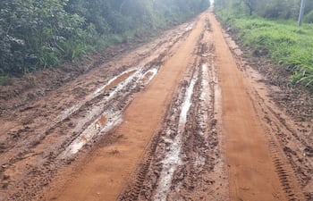 Camino de tierra con charcos y vegetación densa a los lados, afectado por la lluvia en un entorno rural.