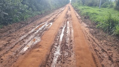 Camino de tierra con charcos y vegetación densa a los lados, afectado por la lluvia en un entorno rural.