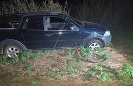 El cargamento de marihuana incautada en Ybý Pytá, departamento de Canindeyú.