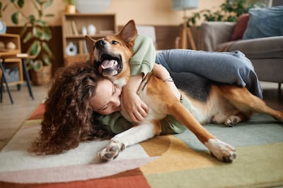 Vínculo humano-perro.