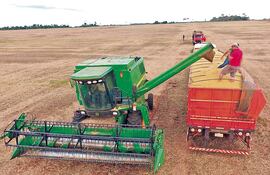 La dinámica exportadora de commodities, como la soja, de América Latina no fue uniforme en los últimos tiempos.