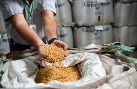 LAR PARAGUAY: TRES DÉCADAS TRANSFORMANDO EL CAMPO CON TECNOLOGÍA Y EXCELENCIA