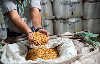 LAR PARAGUAY: TRES DÉCADAS TRANSFORMANDO EL CAMPO CON TECNOLOGÍA Y EXCELENCIA