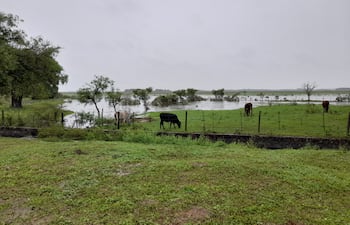 Instan cortar y guardar pasturas para la alimentación del ganado.