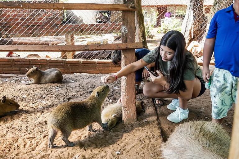 Granja Don Severo ubicada en Encarnación, fue uno de los sitios más visitados en Encarnación.
