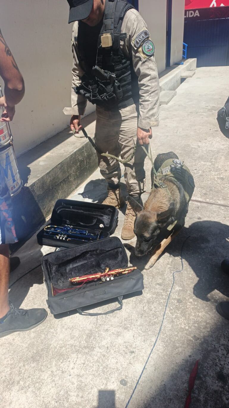 Canes de la Policía lograron detectar petardos escondidos dentro del estadio.