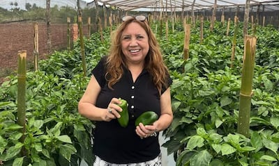 La productora de locote María Adelfa Coelho muestra la excelente producción de locote de la variedad Marsella en su chacra de la compañía Cerrito, en San Roque González de Santa Cruz.