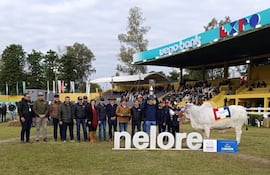Eulalio Gomes (centro) recibió el reconocimiento por la Gran Campeona 2024 en bovino hembra por la raza Nelore, de la mano de los directivos de ARP