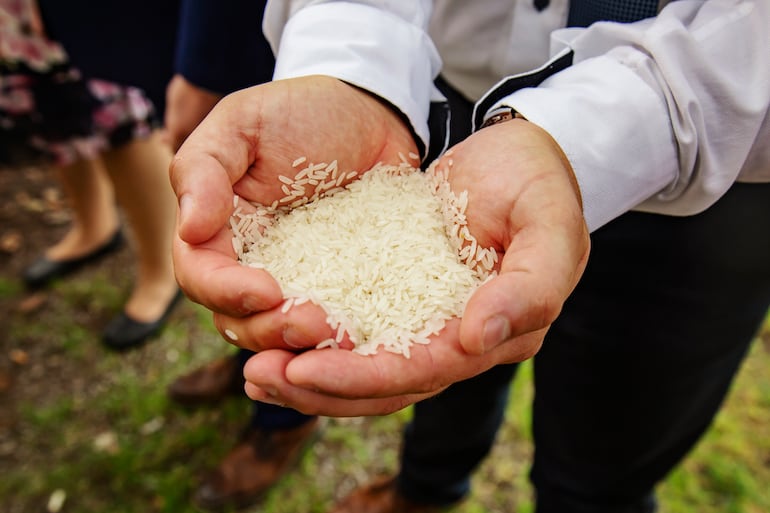 Invitados a punto de tirar arroz a pareja de recién casados.