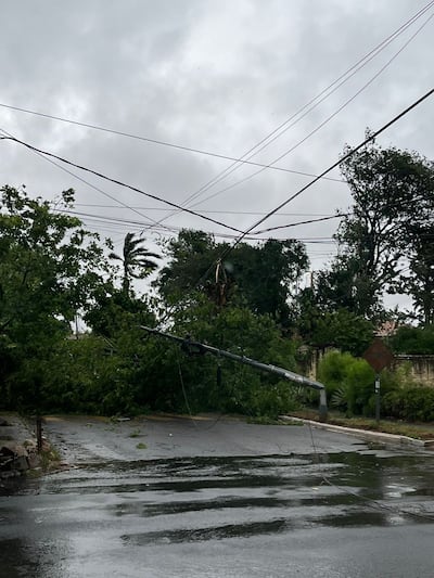 Vientos fuertes derribaron árboles y columnas.