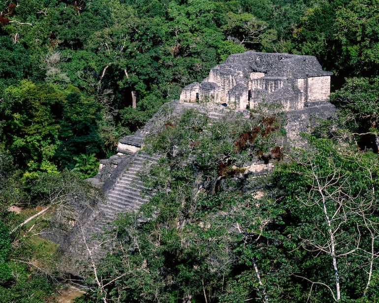 Parque Nacional Tikal, Guatemala.  Pirámide del Mundo Perdido.
