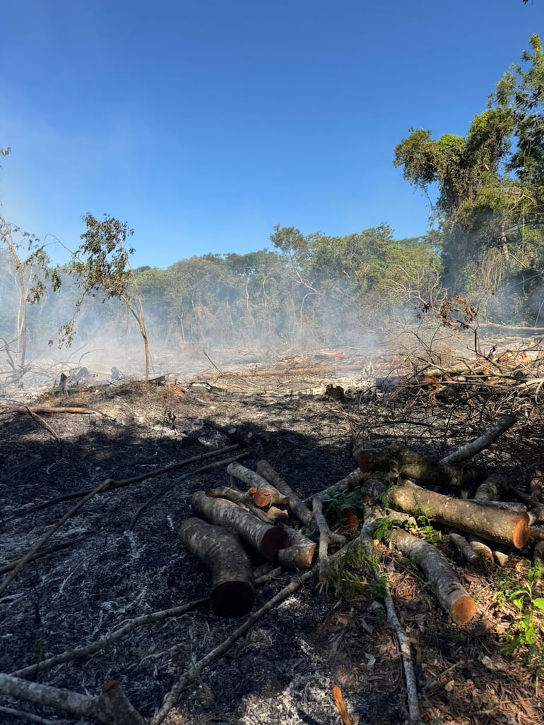 El domingo 4 de enero varias personas ingresaron de manera ilegal en una propiedad ubicada en Isla Pucú.