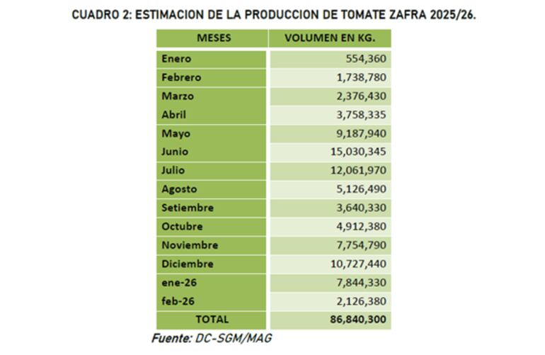 Estimación de la Producción de Tomate zafra 2025-26.