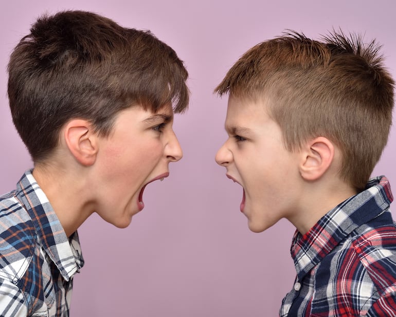 Concepto de pelas entre hermanos.