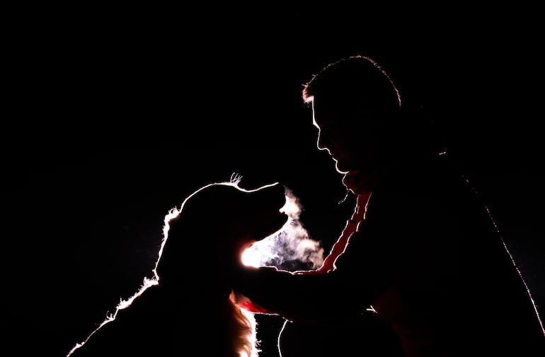 Perro mira a su dueño.