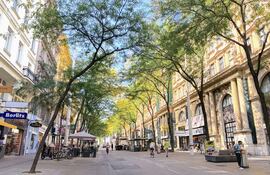 Vista de unos árboles en una calle de Viena (Austria). Más verde, más sombra, menos CO2, menos calor. Esa es la ecuación que está aplicando para combatir las crecientes temperaturas veraniegas la ciudad de Viena, donde desde 2021 se han plantado cada año 4.500 nuevos árboles.