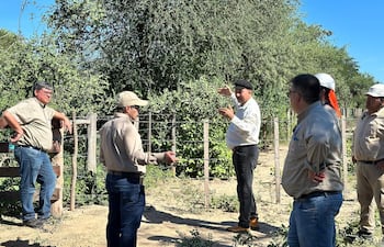 ANDE, MOPC y Municipalidad de Mariscal Estigarribia firman convenio para la instalación de planta fotovoltaica en el Chaco paraguayo.