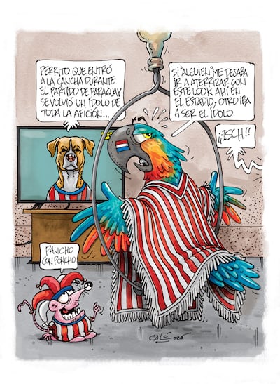 Animal albirrojo