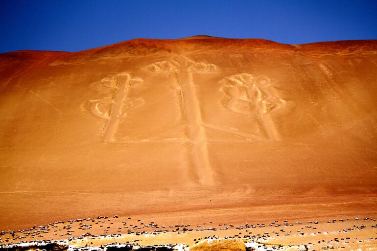 Paracas, Perú, Islas Ballestas.