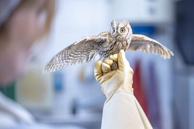 /pf/resources/images/abc-placeholder.png?d=2384