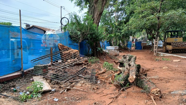 Los árboles fueron removidos denuncian los pobladores.
