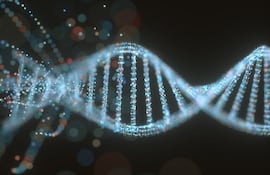 Estructura de la molécula de ADN, imagen ilustrativa.