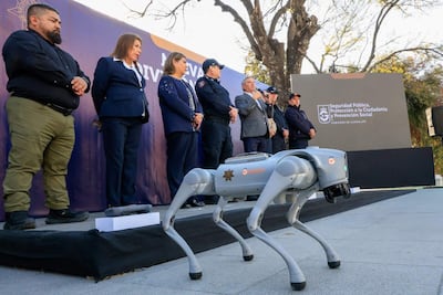 Esta imagen, publicada por el Municipio de Guadalupe, muestra un perro robot diseñado para ayudar a la policía mexicana a combatir la delincuencia durante el Mundial. Fue presentada por el ayuntamiento de Guadalupe, Nuevo León, México, el 9 de febrero de 2026. Los robots de cuatro patas están diseñados para entrar en zonas peligrosas y transmitir video en vivo a las fuerzas de seguridad, quienes pueden observar antes de actuar durante el torneo de fútbol. El espectáculo mundial, que se llevará a cabo del 11 de junio al 19 de julio de 2026, será organizado por México junto con Estados Unidos y Canadá. (Foto: AFP)