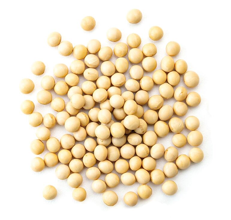 La estrategia para asegurar 3.000 kg por hectárea de soja