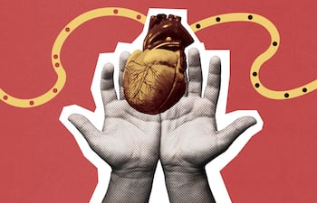 Concepto de trasplante de corazón, donación de órganos, etc.
