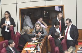 Bancada cartista del senado, junto a satélites y colorados disidentes aprobaron la ley de hambre cero.