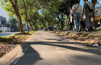 Mujer en camiseta clara y hombre en atuendo gris conversan en un paseo peatonal, rodeados de árboles y una motocicleta.