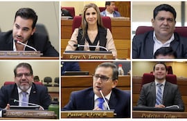 Liberales que votaron a favor de Camilo Benítez.