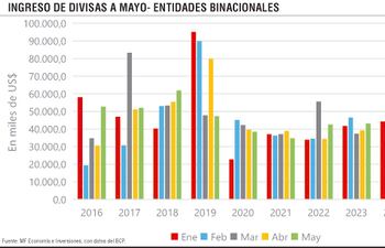 INGRESO DE DIVISAS