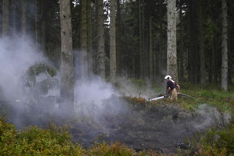 El 17 de agosto de 2026 comenzó a llover en Bélgica, lo que ayudó a combatir el mayor incendio forestal de la era moderna en el país, el cual ha arrasado unas 3.000 hectáreas (7.500 acres) del parque High Fens, situado en la frontera con Alemania. (Photo by JOHN THYS / AFP)