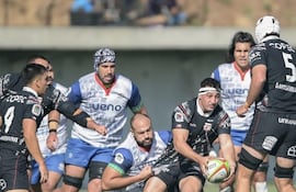 Los Yacaré serán protagonistas de la nueva edición del Súper Rugby Américas.