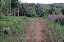 Pobladores de Trinidad y Capitán Miranda denuncian abandono de las autoridades.