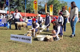 Dos niñas con faldas y blusas blancas y gorros rojos lavan lana. Hombres y niños observan en ambiente festivo con carpas rojas.