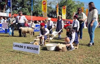 Dos niñas con faldas y blusas blancas y gorros rojos lavan lana. Hombres y niños observan en ambiente festivo con carpas rojas.