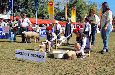 Dos niñas con faldas y blusas blancas y gorros rojos lavan lana. Hombres y niños observan en ambiente festivo con carpas rojas.